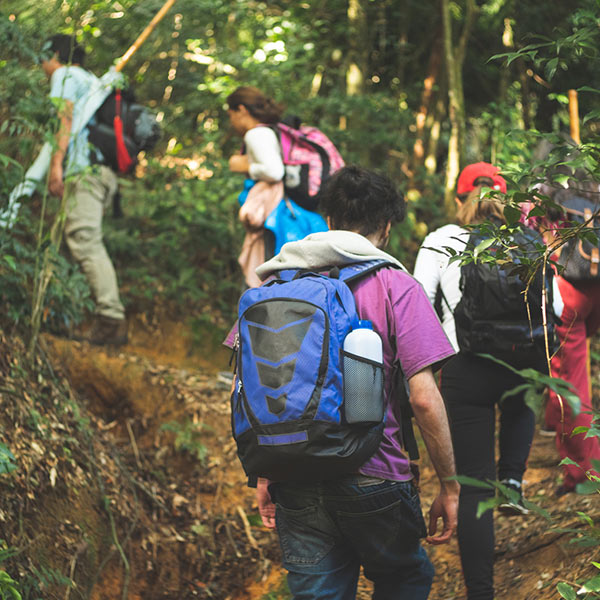 Group of adventurers exploring the rainforest